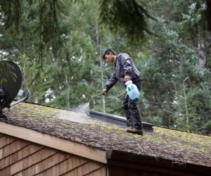 Why We Recommend Regular Roof Cleaning Services