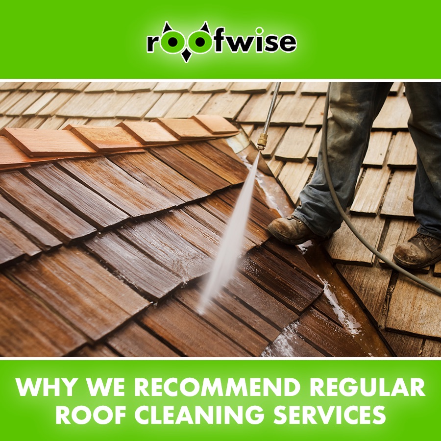 Why We Recommend Regular Roof Cleaning Services