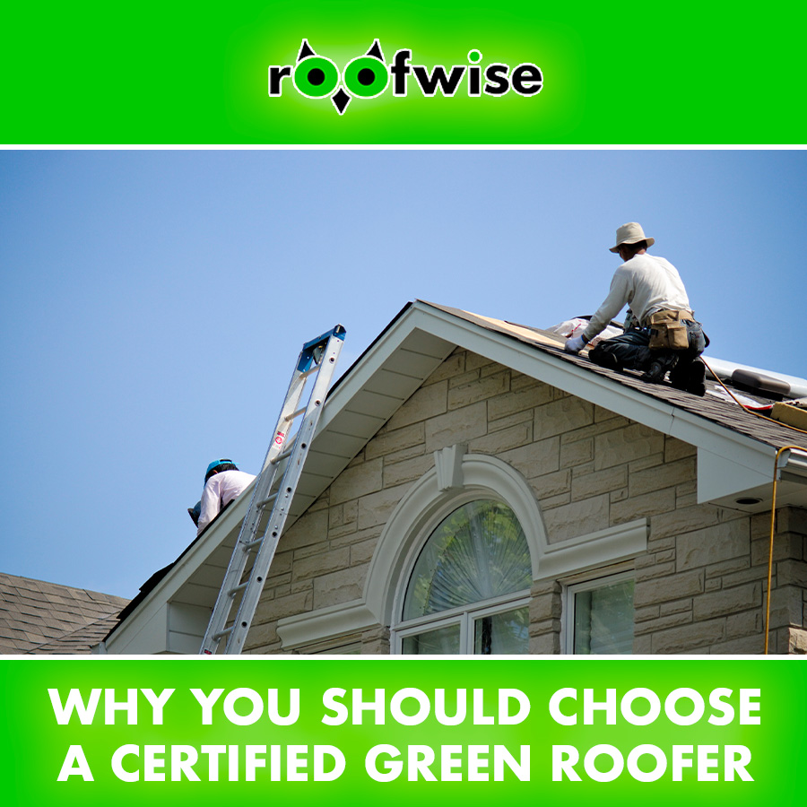 Why You Should Choose a Certified Green Roofer