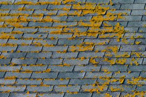 How to Tell if You Need a Roof Replacement