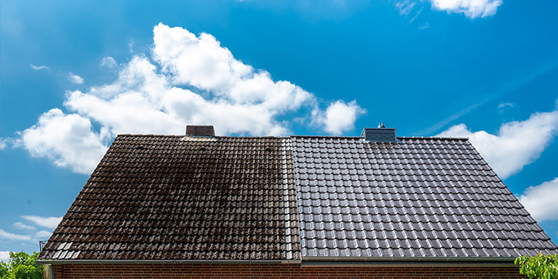 What You Need to Know About Roof Cleaning