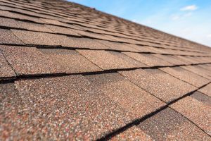 Fun Facts About Asphalt Shingle Roofing
