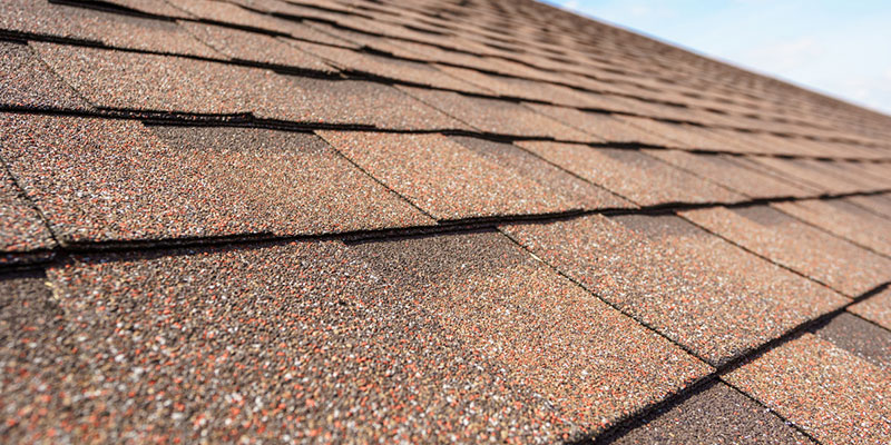 Fun Facts About Asphalt Shingle Roofing