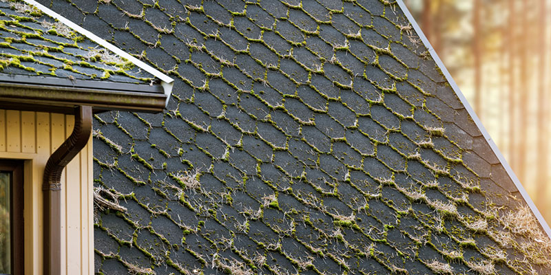 How Often Do You Need Roof Cleaning Services?